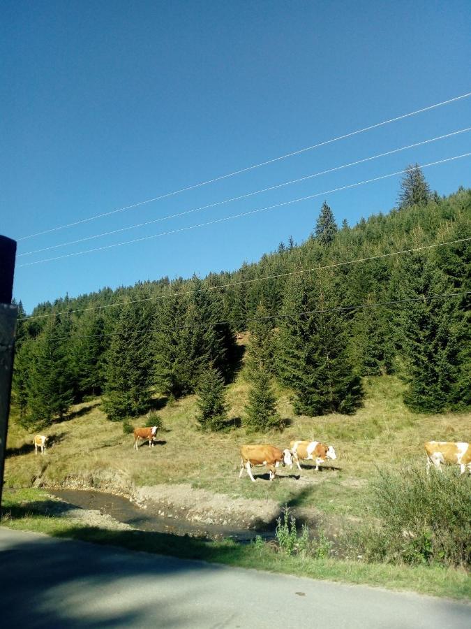 Villa Csillag Kulcsoshaz Gheorgheni  Esterno foto