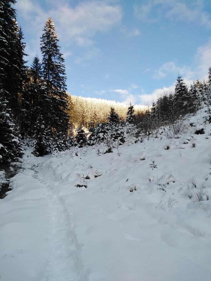 Villa Csillag Kulcsoshaz Gheorgheni  Esterno foto
