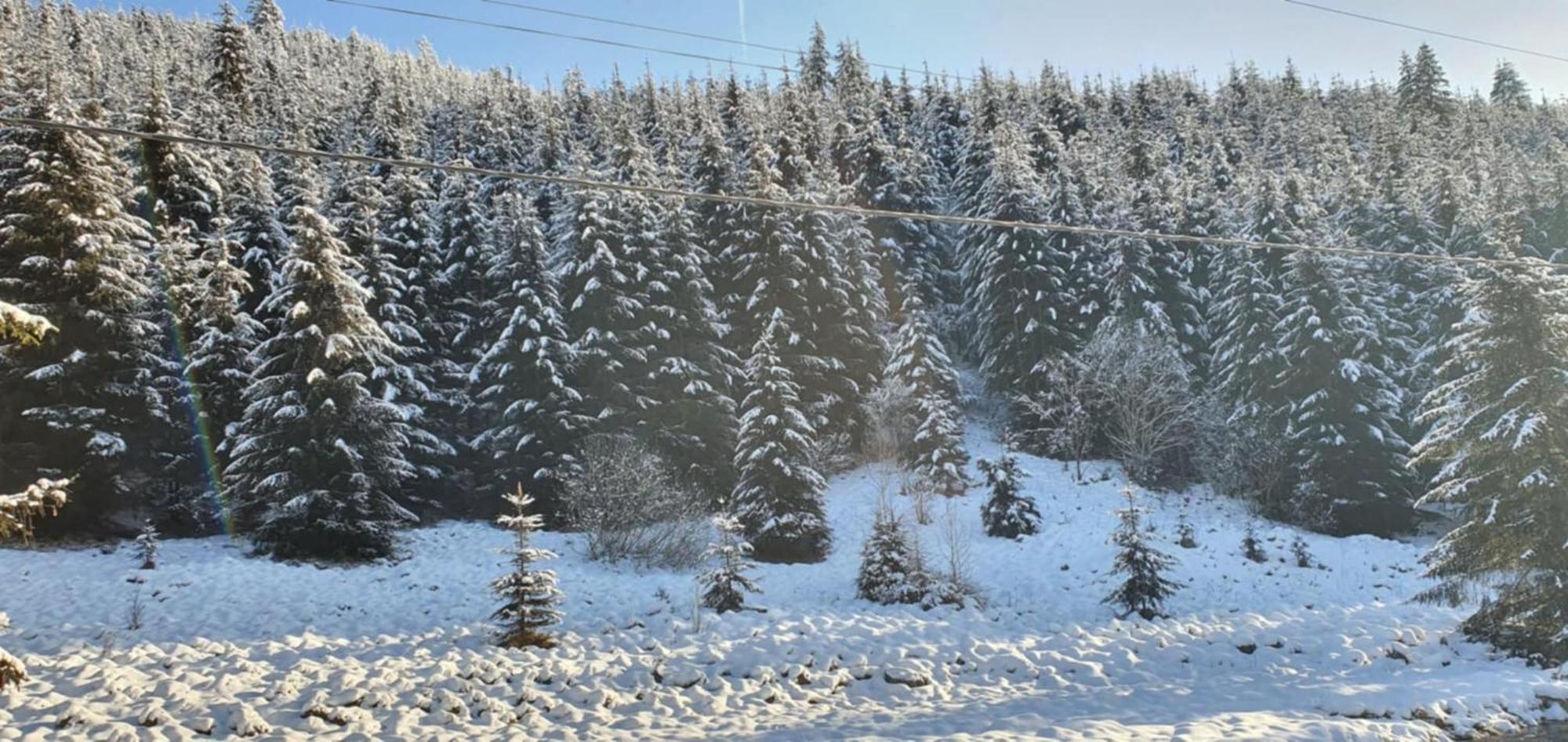 Villa Csillag Kulcsoshaz Gheorgheni  Esterno foto