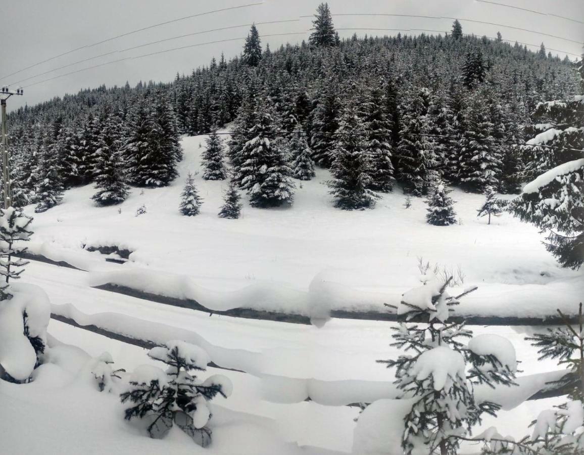 Villa Csillag Kulcsoshaz Gheorgheni  Esterno foto